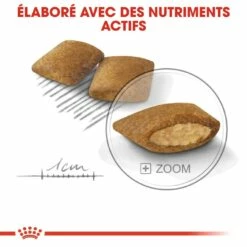 Royal Canin Mini Exigent -Promos Wanimo Boutique royal canin mini exigent mini exigent 3