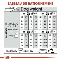 Royal Canin Mini Exigent -Promos Wanimo Boutique royal canin mini exigent mini exigent 6