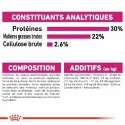 Royal Canin Mini Exigent -Promos Wanimo Boutique royal canin mini exigent mini exigent 7