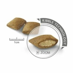 Royal Canin Mini Exigent -Promos Wanimo Boutique royal canin mini exigent mini exigent 8