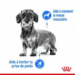 Royal Canin Mini Light Weight Care - Croquettes Pour Chien -Promos Wanimo Boutique royal canin mini light weight care croquettes pour chien 1 2