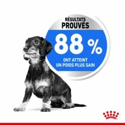 Royal Canin Mini Light Weight Care - Croquettes Pour Chien -Promos Wanimo Boutique royal canin mini light weight care croquettes pour chien 1 3