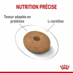 Royal Canin Mini Light Weight Care - Croquettes Pour Chien -Promos Wanimo Boutique royal canin mini light weight care croquettes pour chien 1 4