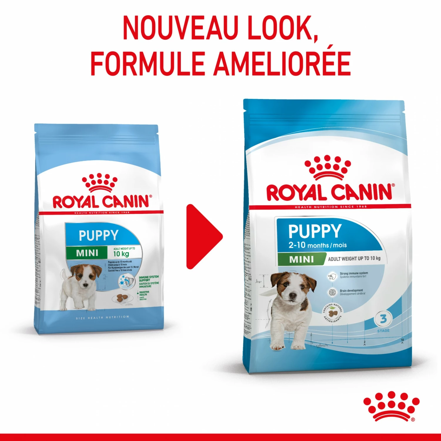 Royal Canin Mini Puppy - Croquettes Pour Chiot 2 Royal Canin Mini Puppy - Croquettes Pour Chiot – Image 2