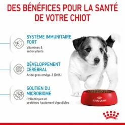 Royal Canin Mini Puppy - Croquettes Pour Chiot 14 Royal Canin Mini Puppy - Croquettes Pour Chiot -Promos Wanimo Boutique royal canin mini puppy croquettes pour chiot mini puppy 1 4