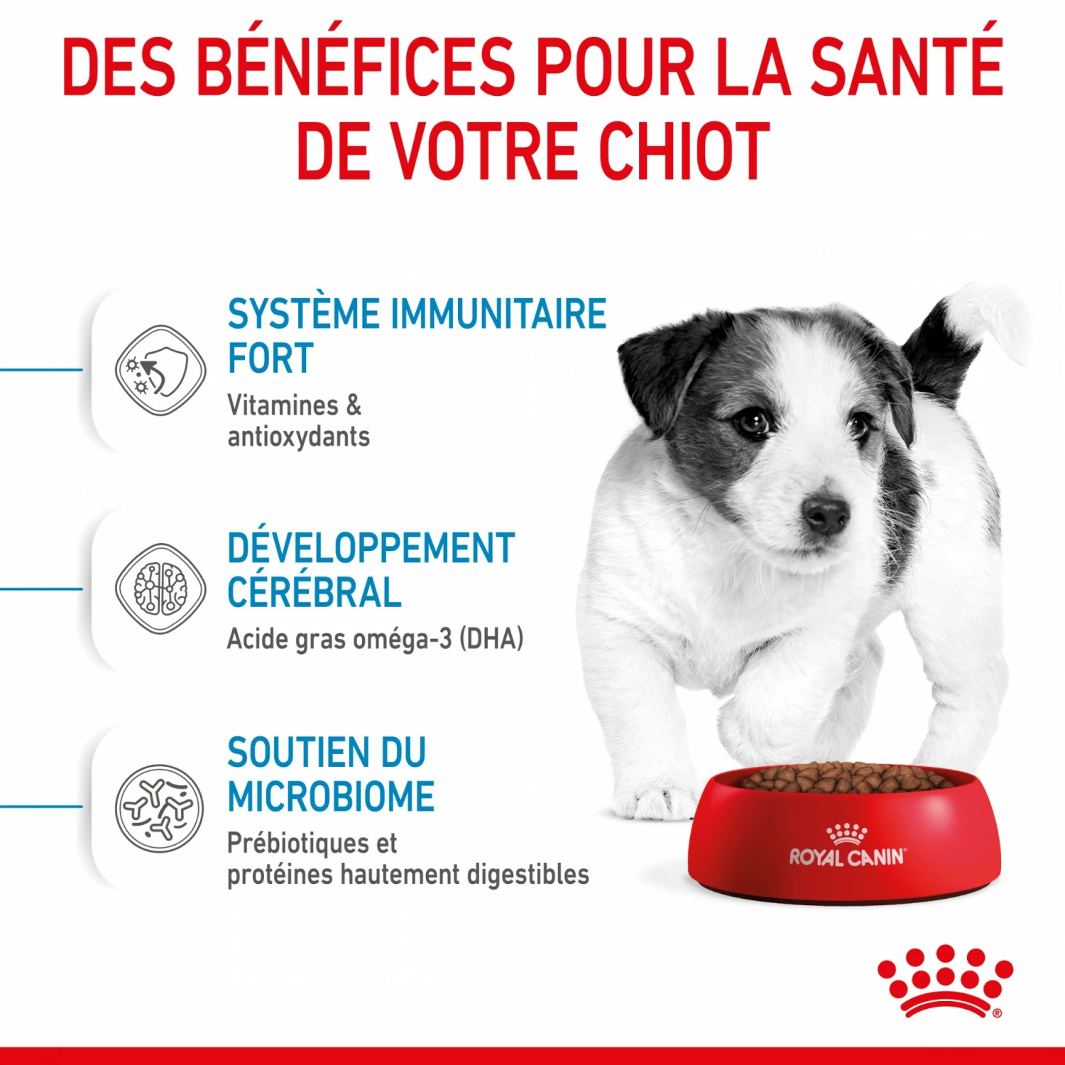 Royal Canin Mini Puppy - Croquettes Pour Chiot 5 Royal Canin Mini Puppy - Croquettes Pour Chiot – Image 5