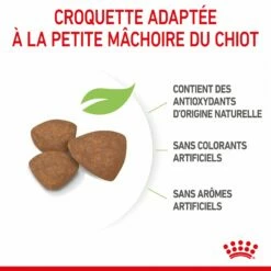 Royal Canin Mini Puppy - Croquettes Pour Chiot 15 Royal Canin Mini Puppy - Croquettes Pour Chiot -Promos Wanimo Boutique royal canin mini puppy croquettes pour chiot mini puppy 1 5
