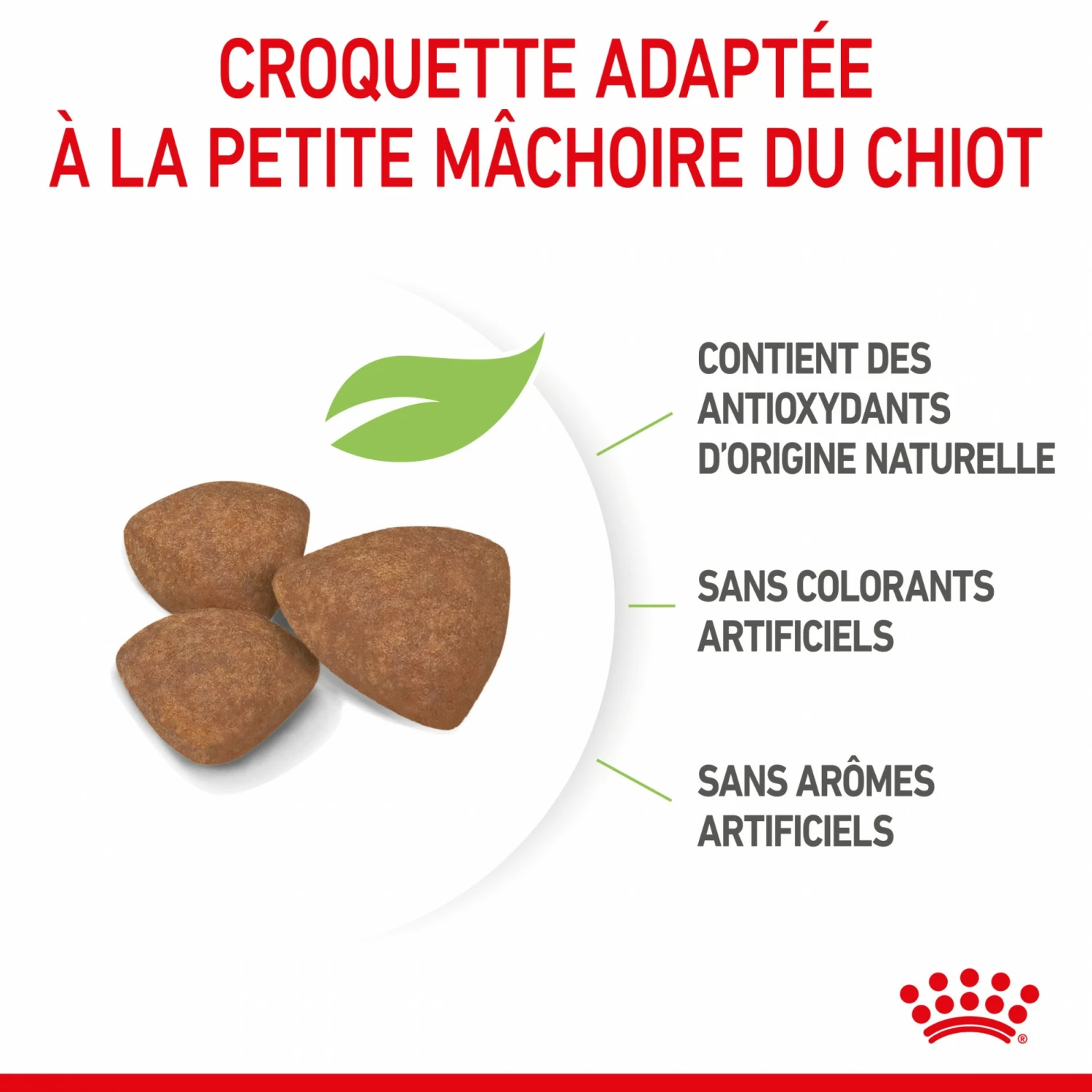 Royal Canin Mini Puppy - Croquettes Pour Chiot 6 Royal Canin Mini Puppy - Croquettes Pour Chiot – Image 6