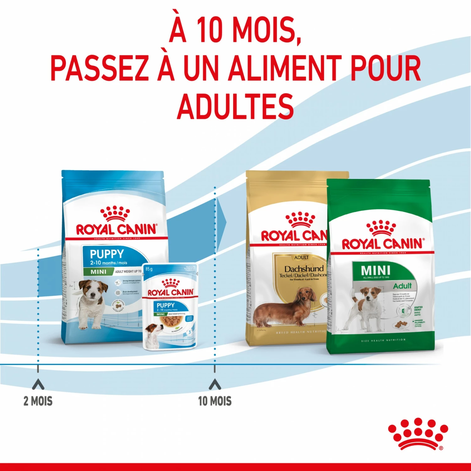 Royal Canin Mini Puppy - Croquettes Pour Chiot 7 Royal Canin Mini Puppy - Croquettes Pour Chiot – Image 7