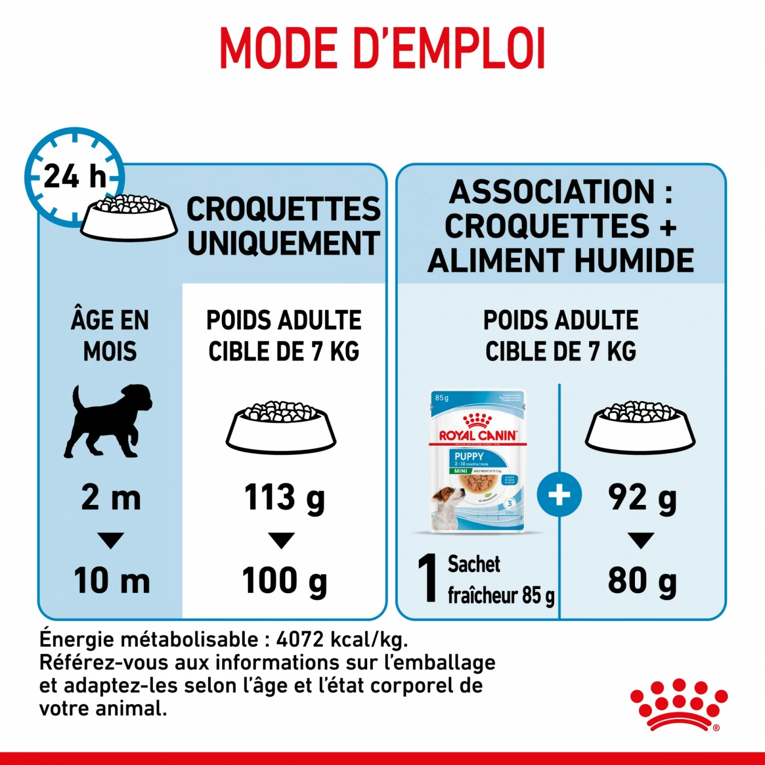 Royal Canin Mini Puppy - Croquettes Pour Chiot 9 Royal Canin Mini Puppy - Croquettes Pour Chiot – Image 9