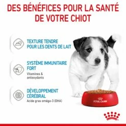 Royal Canin Mini Puppy - Pâtée Pour Chiot -Promos Wanimo Boutique royal canin mini puppy patee pour chiot mini puppy lot x g 5