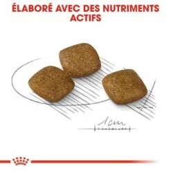 Royal Canin Mini Relax Care - Croquettes Pour Chien 10 Royal Canin Mini Relax Care - Croquettes Pour Chien -Promos Wanimo Boutique royal canin mini relax care croquettes pour chien mini relax care adulte 2