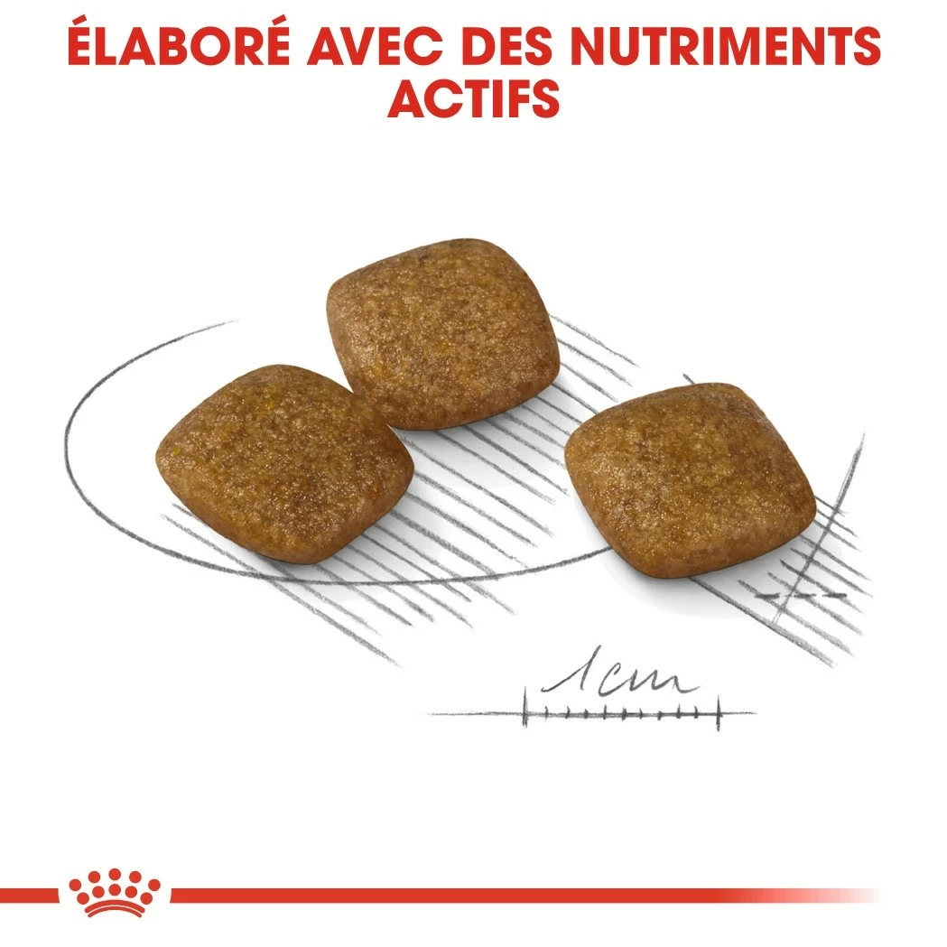 Royal Canin Mini Relax Care - Croquettes Pour Chien 3 Royal Canin Mini Relax Care - Croquettes Pour Chien – Image 3
