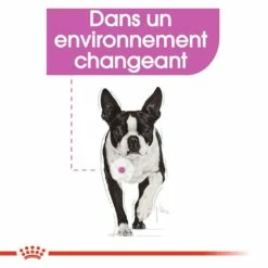 Royal Canin Mini Relax Care - Croquettes Pour Chien 13 Royal Canin Mini Relax Care - Croquettes Pour Chien -Promos Wanimo Boutique royal canin mini relax care croquettes pour chien mini relax care adulte 5