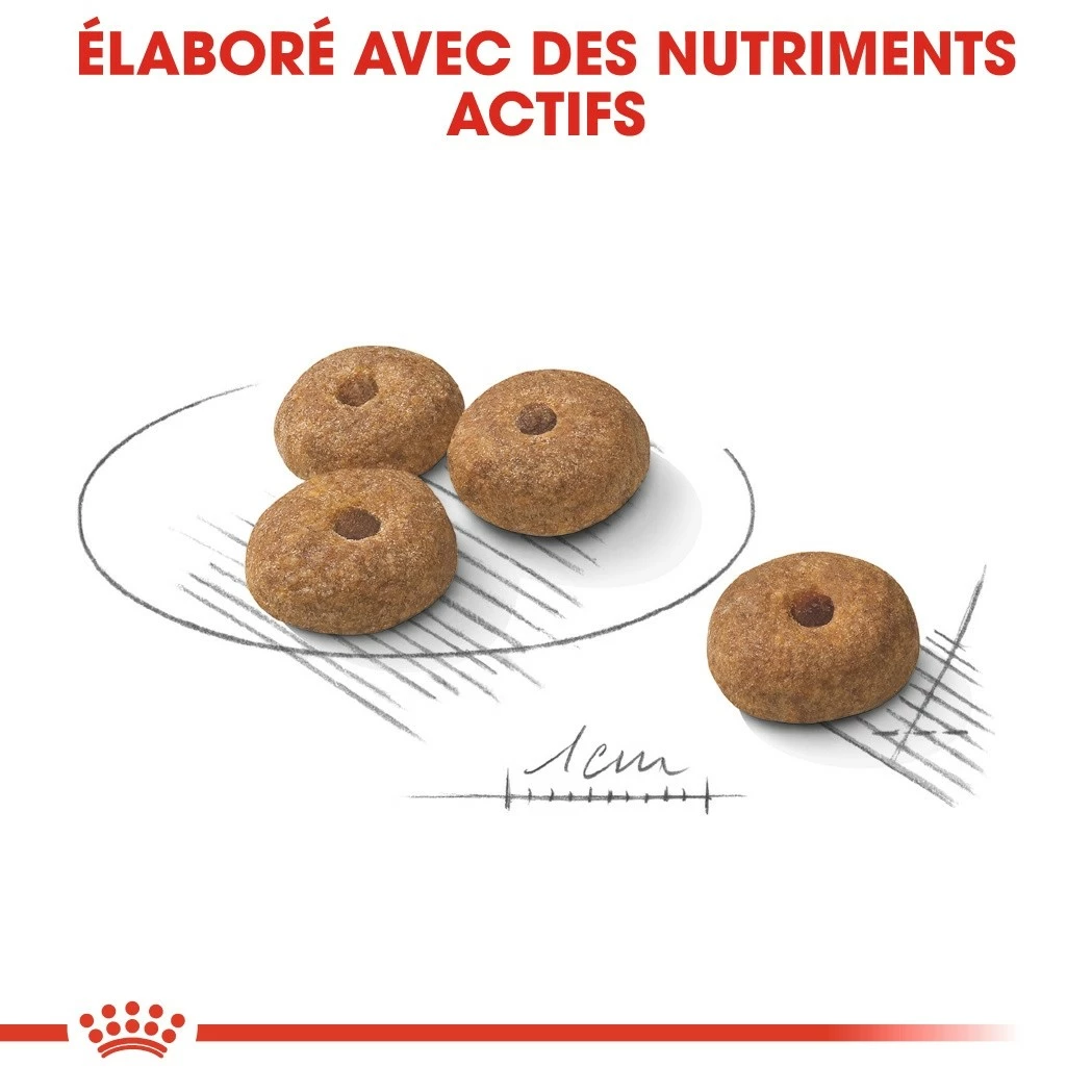 Royal Canin Mini Sterilised - Croquettes Pour Chien 3 Royal Canin Mini Sterilised - Croquettes Pour Chien – Image 3