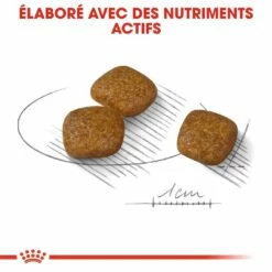 Royal Canin Mini Urinary Care - Croquettes Pour Chien 11 Royal Canin Mini Urinary Care - Croquettes Pour Chien -Promos Wanimo Boutique royal canin mini urinary care croquettes pour chien mini urinary care adulte 3