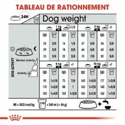 Royal Canin Mini Urinary Care - Croquettes Pour Chien 14 Royal Canin Mini Urinary Care - Croquettes Pour Chien -Promos Wanimo Boutique royal canin mini urinary care croquettes pour chien mini urinary care adulte 6
