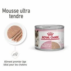 Royal Canin Mother & Babycat -Promos Wanimo Boutique royal canin mother babycat mother babycat 2