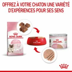 Royal Canin Mother & Babycat -Promos Wanimo Boutique royal canin mother babycat mother babycat 5