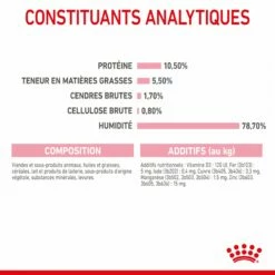 Royal Canin Mother & Babycat -Promos Wanimo Boutique royal canin mother babycat mother babycat 6