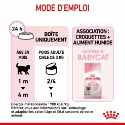 Royal Canin Mother & Babycat -Promos Wanimo Boutique royal canin mother babycat mother babycat 7