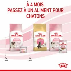 Royal Canin Mother & Babycat -Promos Wanimo Boutique royal canin mother babycat mother babycat 8