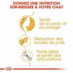 Royal Canin Norvégien Adult -Promos Wanimo Boutique royal canin norvegien adult norvegien 3