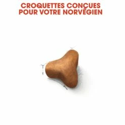 Royal Canin Norvégien Adult -Promos Wanimo Boutique royal canin norvegien adult norvegien 4