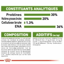 Royal Canin Outdoor -Promos Wanimo Boutique royal canin outdoor outdoor 6