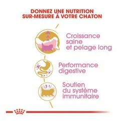 Royal Canin Persian Kitten -Promos Wanimo Boutique royal canin persian kitten persian kitten 3