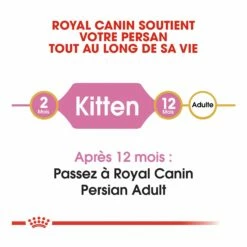 Royal Canin Persian Kitten -Promos Wanimo Boutique royal canin persian kitten persian kitten 5