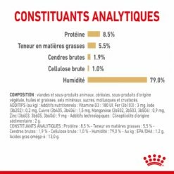 Royal Canin Pomeranian Adult (Spitz Nain) - Pâtée Pour Chien -Promos Wanimo Boutique royal canin pomeranian adult spitz nain patee pour chien 1 6