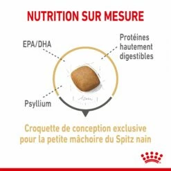 Royal Canin Pomeranian (Spitz Nain) Adult - Croquettes Pour Chien -Promos Wanimo Boutique royal canin pomeranian spitz nain adult croquettes pour chien 1 3
