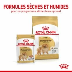 Royal Canin Pomeranian (Spitz Nain) Adult - Croquettes Pour Chien -Promos Wanimo Boutique royal canin pomeranian spitz nain adult croquettes pour chien 1 4