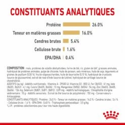 Royal Canin Pomeranian (Spitz Nain) Adult - Croquettes Pour Chien -Promos Wanimo Boutique royal canin pomeranian spitz nain adult croquettes pour chien 1 6