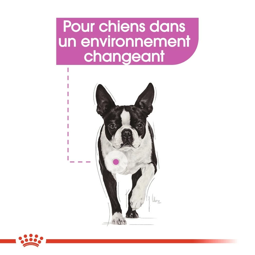 Royal Canin Relax Care - Pâtée Pour Chien 2 Royal Canin Relax Care - Pâtée Pour Chien – Image 2