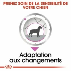 Royal Canin Relax Care - Pâtée Pour Chien 11 Royal Canin Relax Care - Pâtée Pour Chien -Promos Wanimo Boutique royal canin relax care patee pour chien relax care adulte lot x g 3