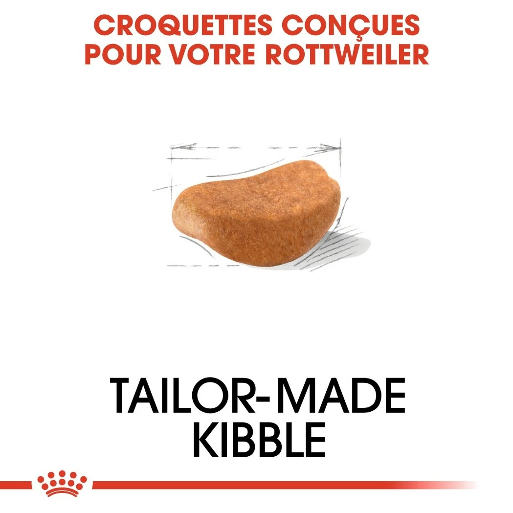 Royal Canin Rottweiler Adult - Croquettes Pour Chien 4 Royal Canin Rottweiler Adult - Croquettes Pour Chien – Image 4