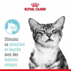 Royal Canin Sensory Feel -Promos Wanimo Boutique royal canin sensory feel royal canin 3