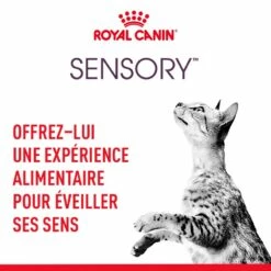Royal Canin Sensory Multipack -Promos Wanimo Boutique royal canin sensory multipack royal canin 3