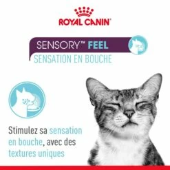Royal Canin Sensory Multipack -Promos Wanimo Boutique royal canin sensory multipack royal canin 4