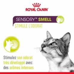 Royal Canin Sensory Multipack -Promos Wanimo Boutique royal canin sensory multipack royal canin 5
