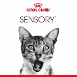 Royal Canin Sensory Smell -Promos Wanimo Boutique royal canin sensory smell royal canin 3
