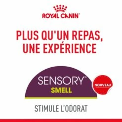 Royal Canin Sensory Smell -Promos Wanimo Boutique royal canin sensory smell royal canin 5