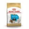 Royal Canin Shih Tzu Puppy - Croquettes Pour Chiot