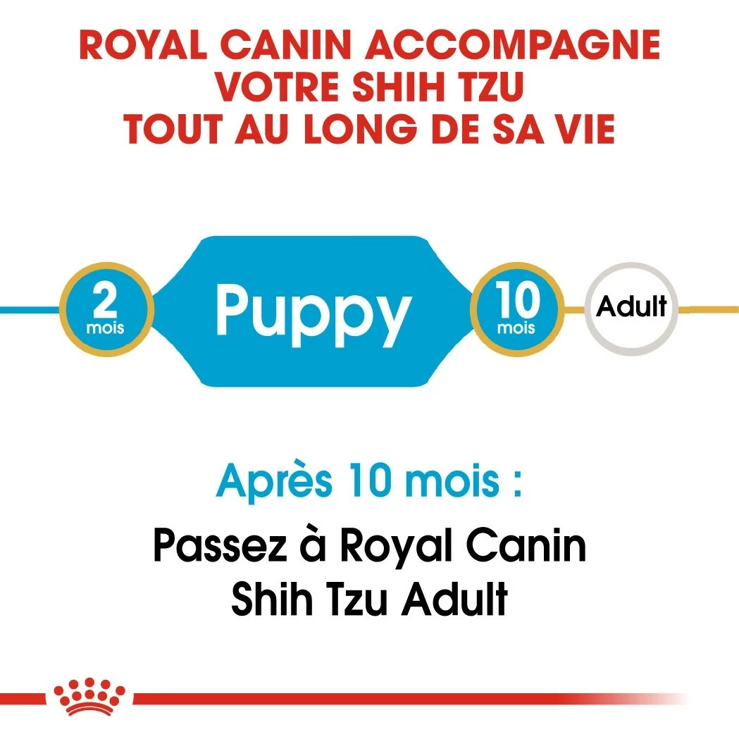 Royal Canin Shih Tzu Puppy - Croquettes Pour Chiot 4 Royal Canin Shih Tzu Puppy - Croquettes Pour Chiot – Image 4