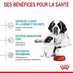 ROYAL CANIN Size Nutrition -Promos Wanimo Boutique royal canin size nutrition giant starter 4
