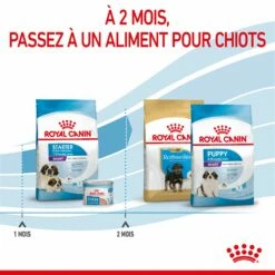 ROYAL CANIN Size Nutrition -Promos Wanimo Boutique royal canin size nutrition giant starter 6