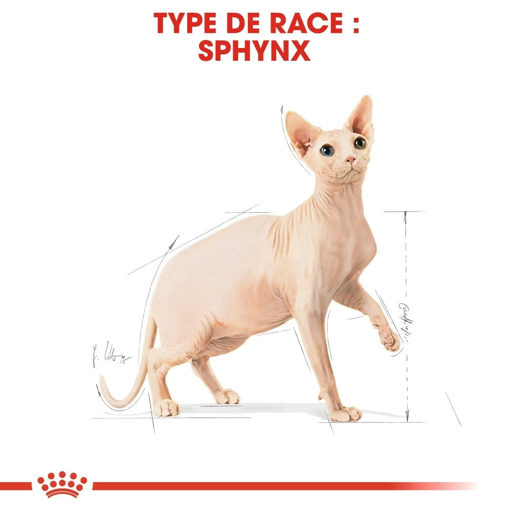 Royal Canin Sphynx Adult 2 Royal Canin Sphynx Adult – Image 2