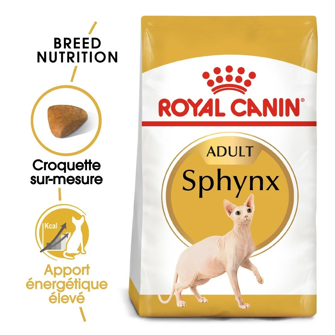 Royal Canin Sphynx Adult 3 Royal Canin Sphynx Adult – Image 3